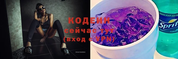 дмт Пестово