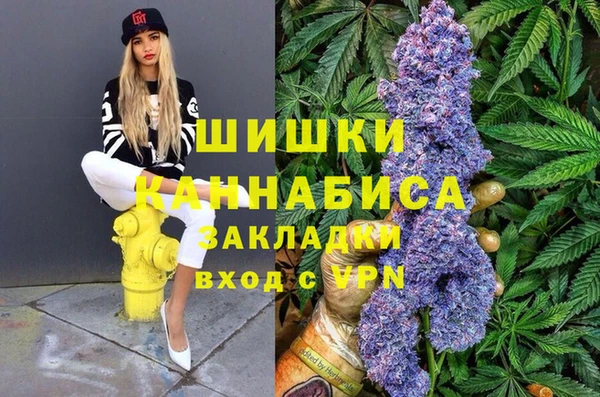 индика Покачи