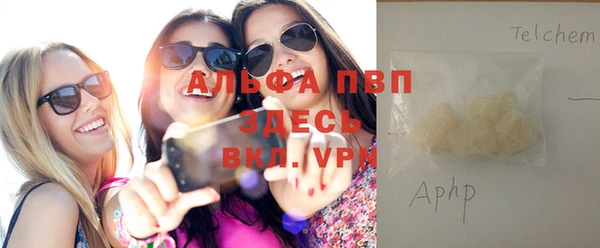 индика Покачи