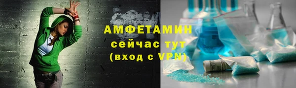 индика Покачи