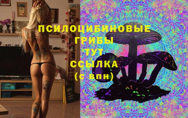 дмт Покровск