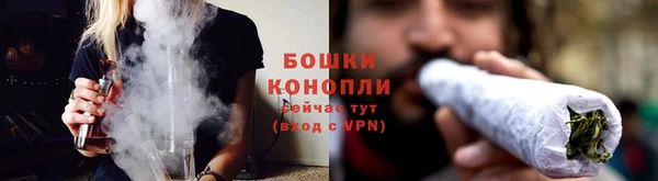 дмт Пестово