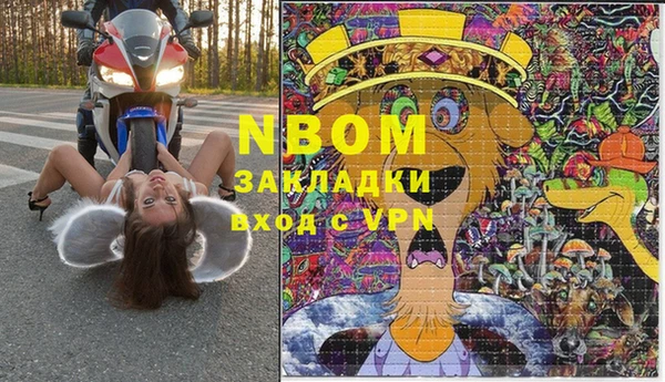 ПСИЛОЦИБИНОВЫЕ ГРИБЫ Переславль-Залесский