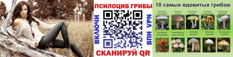 блэк спрут зеркало  Симферополь  Галлюциногенные грибы Psilocybine cubensis 